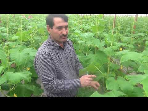 Как правильно формировать