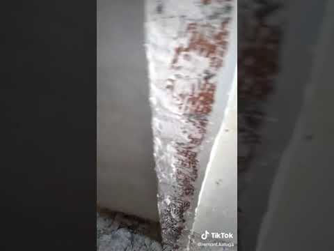 😭😭😭 Грибок на