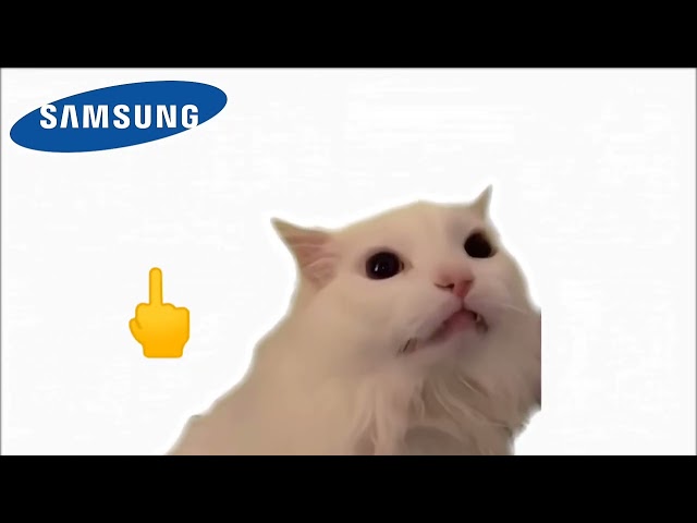 Suara kucing tapi HP nokia ipone samsung sony erkos mellow meme bahasa indonesia class=