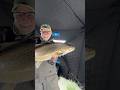 Big Brown Trout ice fishing in our heated shack!