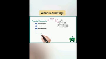 What is Auditing? #youtubeshorts #shortvideo #viral