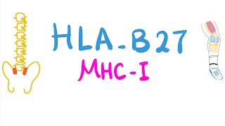 Human Leukocytic Antigen-B27 (HLA-B27)