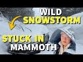INSANE Mammoth Lakes CALIFORNIA weather: SEVERE Winter Storm