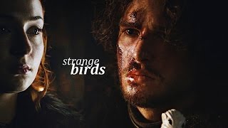 Jon & Sansa | Strange Birds