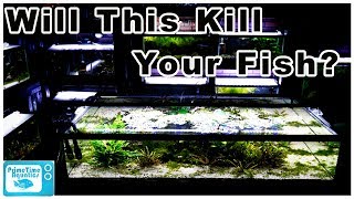 Not Doing This Can KILL Your FISH! Do You Need a Fish Tank Lid?