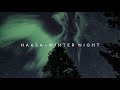 NAASA - Winter Night (4K Music Video) [SkyTop]