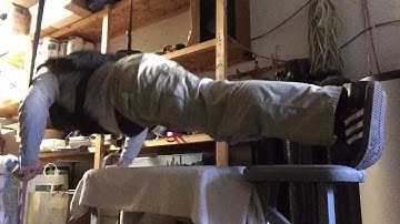 Blast Strap push up with x-vest