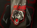 The bears 🐻 are back-let’s go 🤘