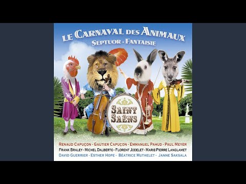 Camille Saint-Saens: Le Carnaval Des Animaux - Gautier Capuçon