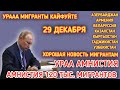 УРА!! МИГРАНТЫ! АМНИСТИЯ ДЛЯ 120тыс