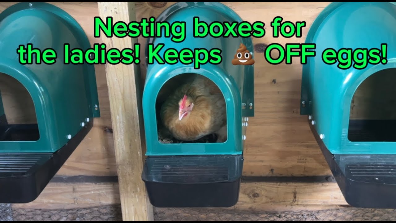 5 Pack Nesting Boxes for Chicken Coop Chicken Nesting Box for Laying
