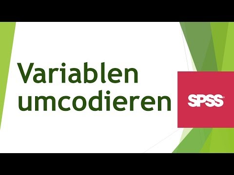 Variablen manuell umcodieren in SPSS - Daten analysieren in SPSS (45)