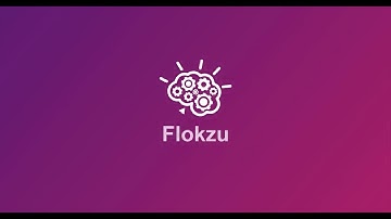 How does Flokzu work?