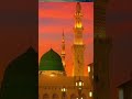 unfrezzmyaccount #islamiceducation #islamicknowledge #islamicstudies #islamicknowledg #duet #love