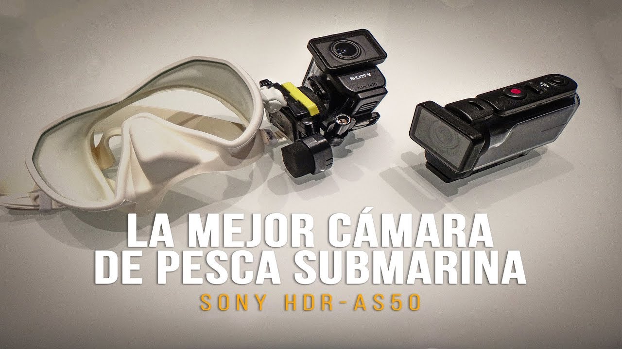 Pesca submarina/Spearfishing. La mejor cámara/The best Camera. Sony HDR-AS50 Pescasub] - YouTube
