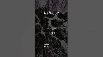 سورة التوبة {قُل لَّن يُصِيبَنَا إِلَّا مَا كَتَبَ اللَّهُ لَنَا}  القارئ:ياسر الدوسري 📿