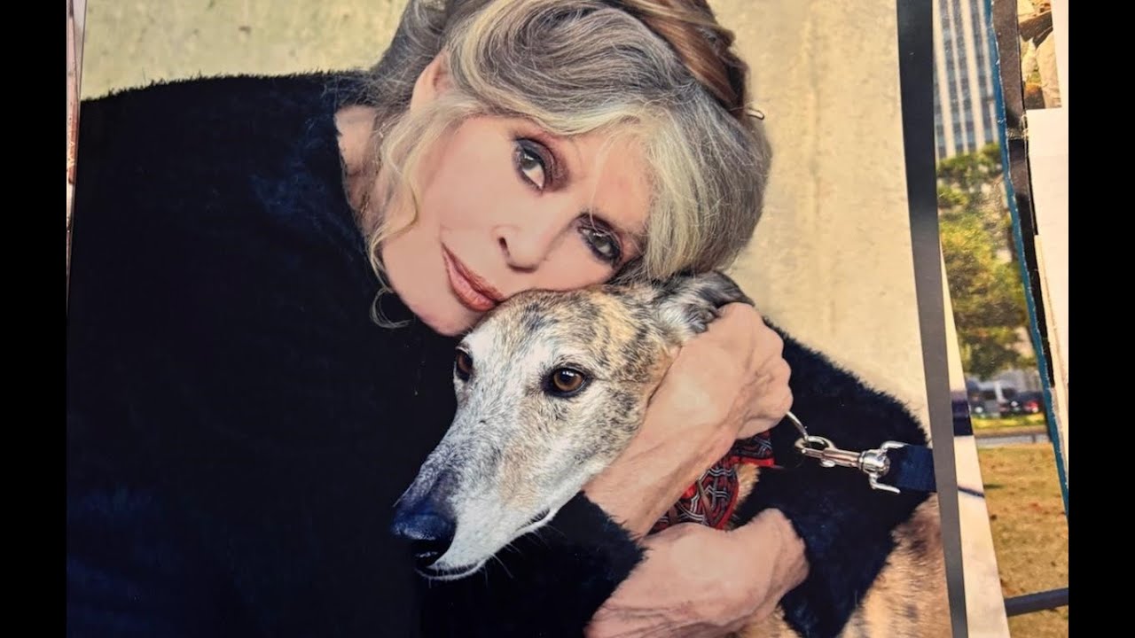 RTA Parmense News 12-01-26