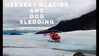Alaska: Herbert Glacier Helicopter Tour with Dog Sledding - HispanaGlobal
