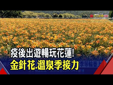 花蓮"慢"遊山海美景 金針花海療癒綻放 中秋浪漫新玩法大公開！｜非凡財經新聞｜20210901