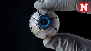 Researchers 3D Print Prototype For 'Bionic Eye' Wealth