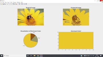 Demonstration of Dominant colors in an image using k-means clustering
