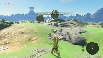 CEMU 1.7.3d Patreon - Zelda BotW - 4K downscaled to 1080