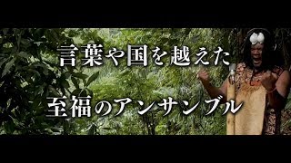 映画『大海原のソングライン』予告編