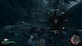 Taking down a hoard in Days Gone