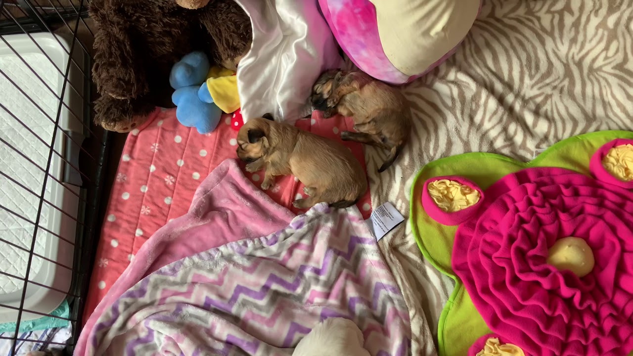 stormy Sleeping Ipad View Upclose