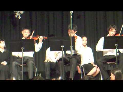 Vivacious Violins - Canon in D