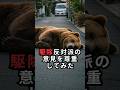 ㊗️170万再生‼️クマ擁護団体のクマ愛❤️ #おもしろ #ジョーク