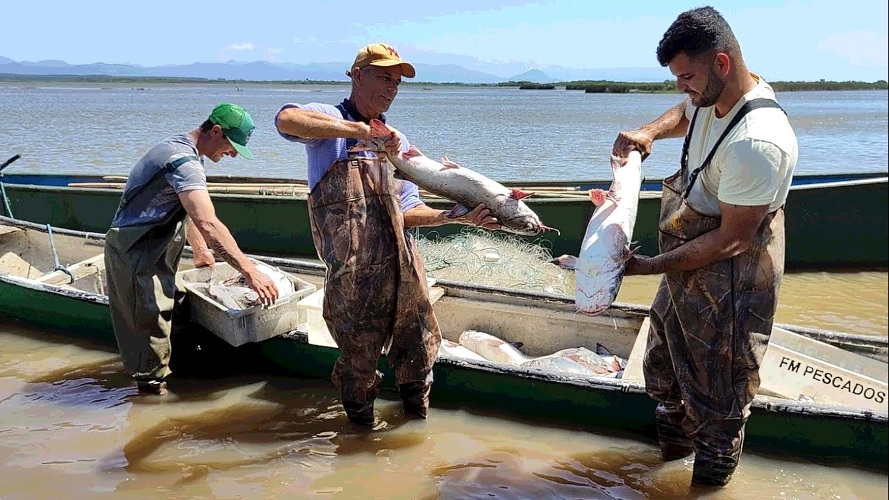 Pescas de bagres, 28-10-24, Projeto do Automonitoramento, Imbé, RS. # ...