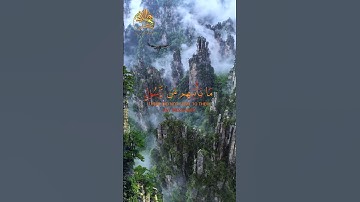 🍁【 القرآن الكريم 】🍁【 ياحسرة على العباد 】🍁【 تلاوة مبكية 】🍁 القارئ شريف مصطفى 🍁