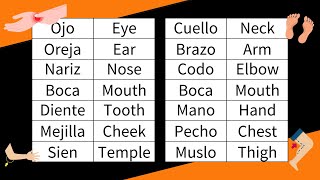 Spanish vocabulary | Face and body parts in Spanish