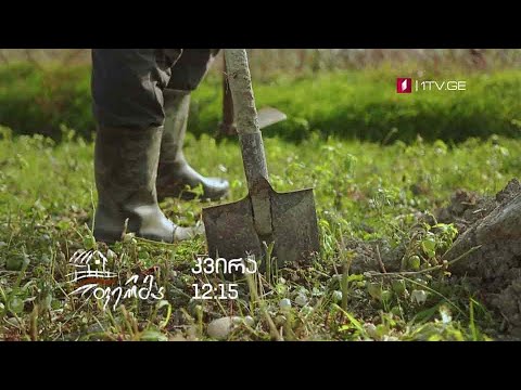 „ფერმა“ - 15 დეკემბერს, 12:15