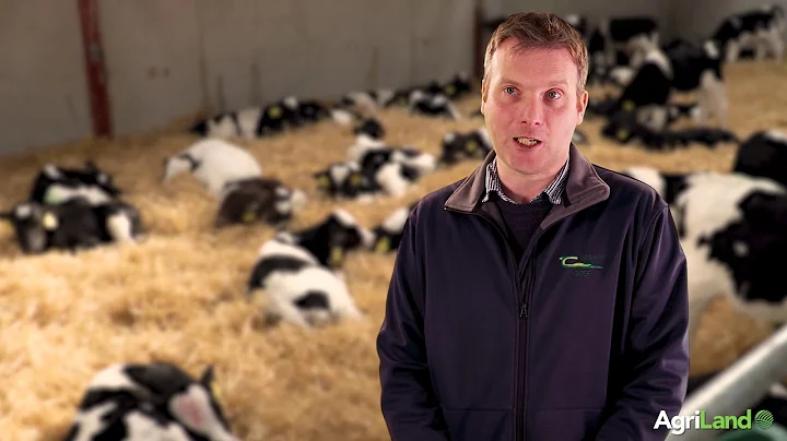 Teagasc's Alan Dillon: Calf prices