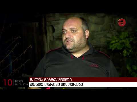 ქარმა, სეტყვამ და წვიმამ გურჯაანისა და ყვარლის მუნიციპალიტეტები დააზარალა