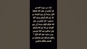 سورة القصص ● القرآن الكريم