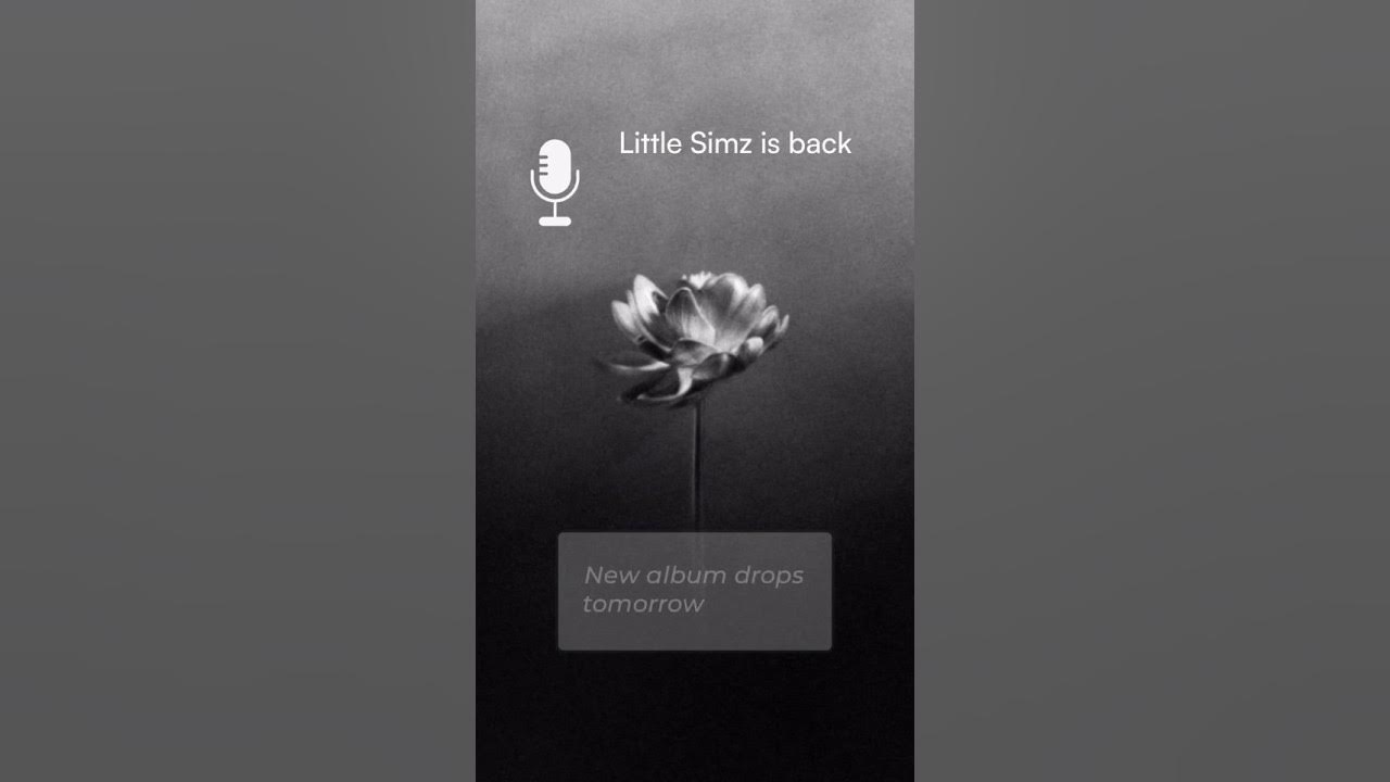 Little Simz Is About to Drop Another Classic Little Simz Is About to Drop Another Classic