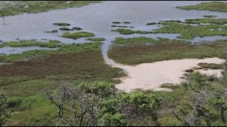 Wildlife refuge bounces back after being hit by hurricane twice