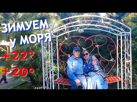 Остаёмся в Лазаревском. Спрашивали - показываю: какую одежду взять на зимовку. Дельфины. Юкка