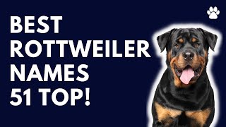 Rottweiler Dog Names 51 BEST & CUTE & TOP Ideas | Names by Names 38,482 views 2 years ago 3 minutes, 10 seconds