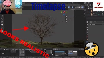Kid models realistic terrain and a tree in 3D (Blender 2.81)