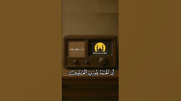 تلاوه رائعه للشيخ محمد صديق المنشاوي  #المنشاوي