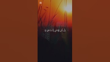 راحة نفسية🎧🎶😴 أفضل تلاوة القرآن الكريم بصوت جميل💚 اللهم اجعل القرآن ربيع قلوبنا ونور صدورنا #quran