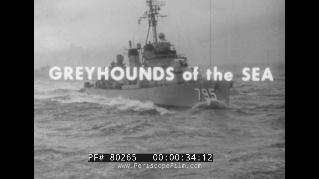 «Борзые моря» 1950-х годов. История эсминца ВМС США в Первой и Второй мировых войнах. 80265