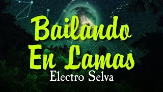 Dj JB - Bailando en Lamas (Electro Selva) De La Selva Su Dj Resimi