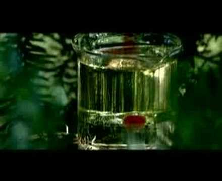 Disillusion — Disillusion - Gloria - Trailer 1