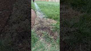 Best way to fix a patch of dead grass #grass #lawn #yard #lawncare #landscape