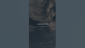 وَنَزَعۡنَا مِن كُلِّ أُمَّةٖ شَهِيدٗا | محمد صديق المنشاوي | سورة القصص